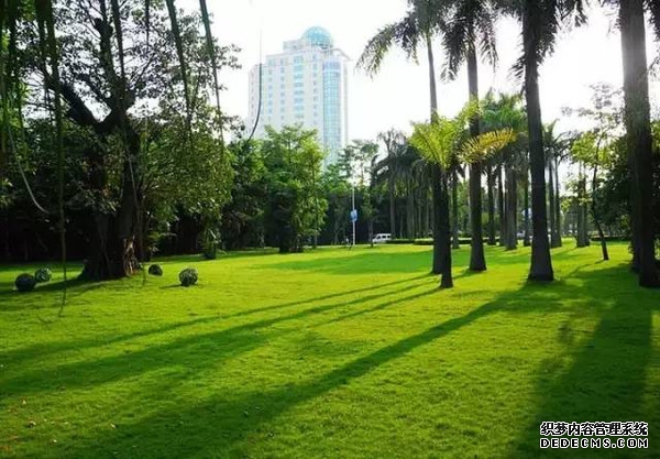 GX南宁凤凰岭立交桥底绿地机房项目城乡规划批前公示的公告